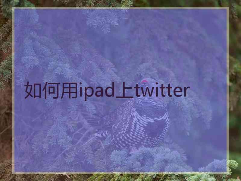 如何用ipad上twitter