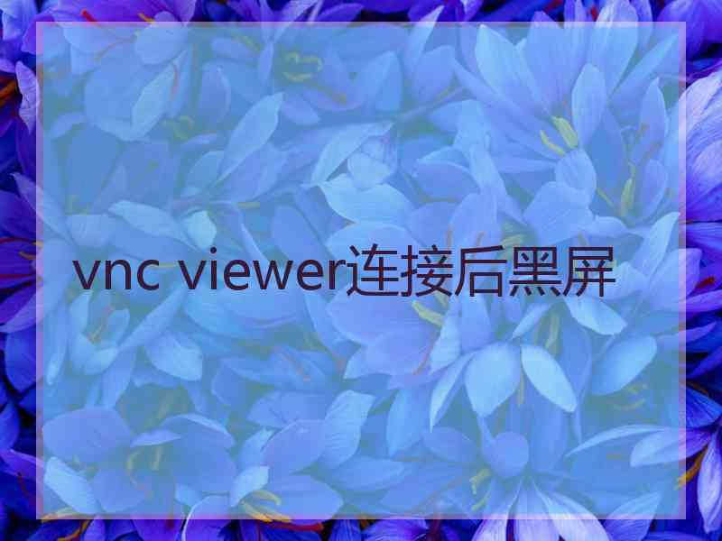 vnc viewer连接后黑屏