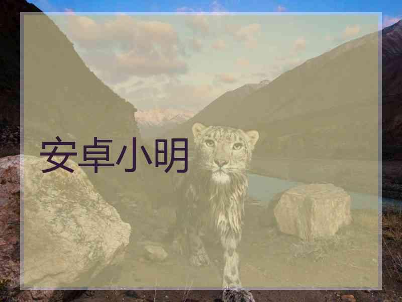 安卓小明
