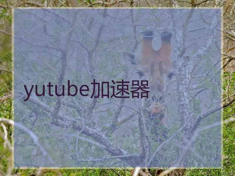 yutube加速器