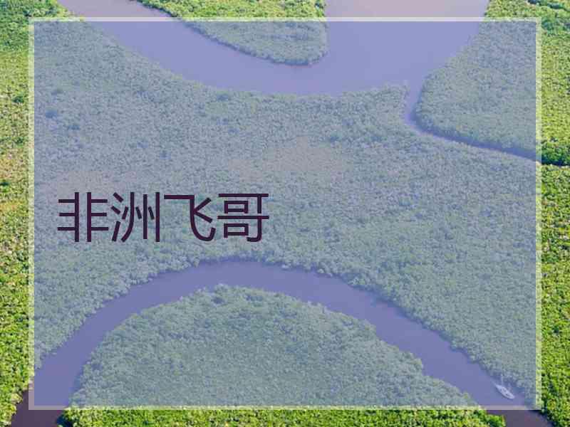非洲飞哥