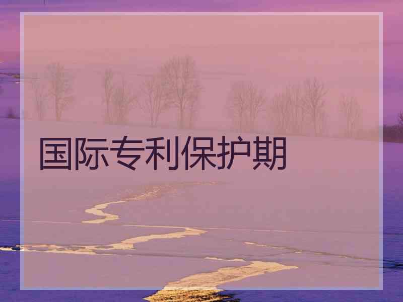 国际专利保护期