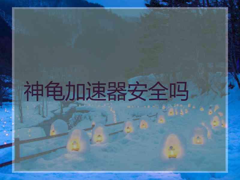 神龟加速器安全吗