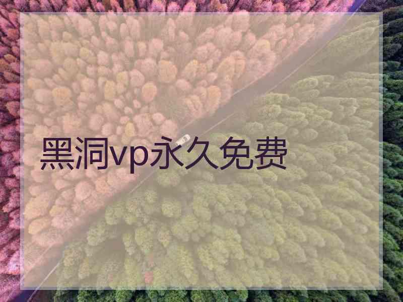 黑洞vp永久免费