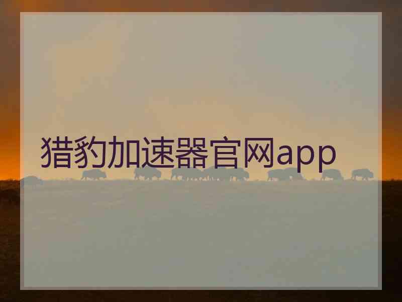 猎豹加速器官网app