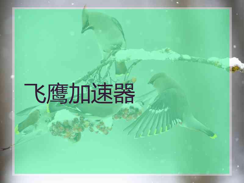 飞鹰加速器
