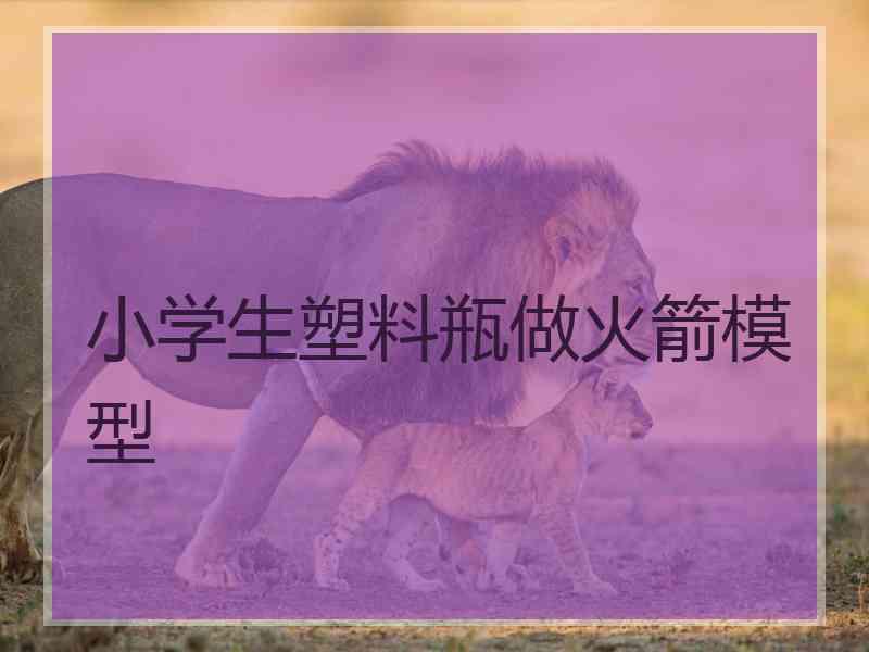 小学生塑料瓶做火箭模型