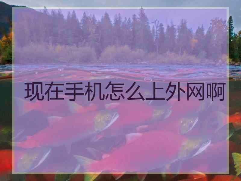 现在手机怎么上外网啊