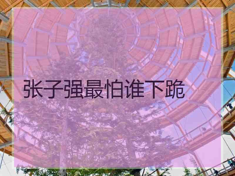 张子强最怕谁下跪