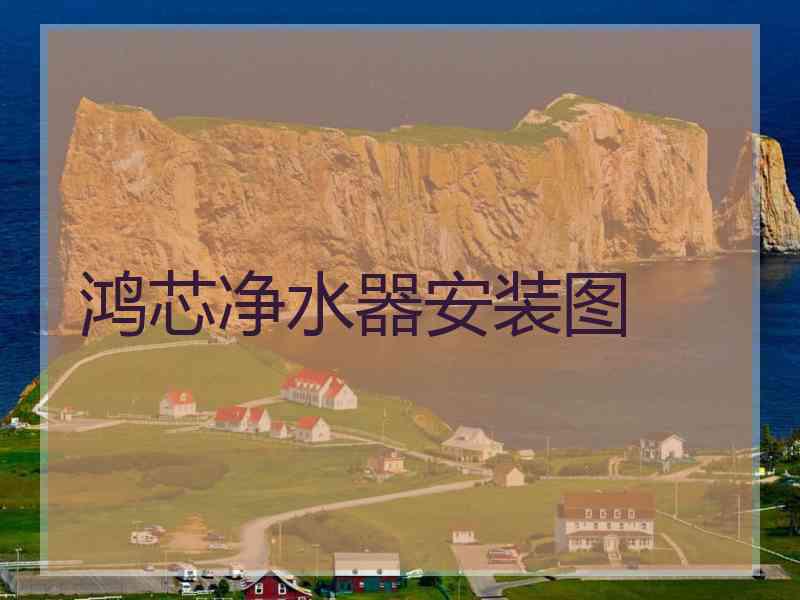 鸿芯净水器安装图