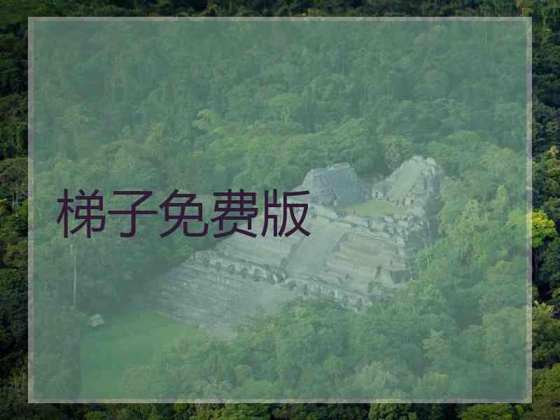 梯子免费版