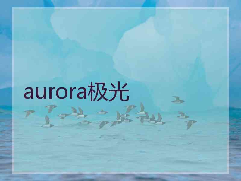 aurora极光