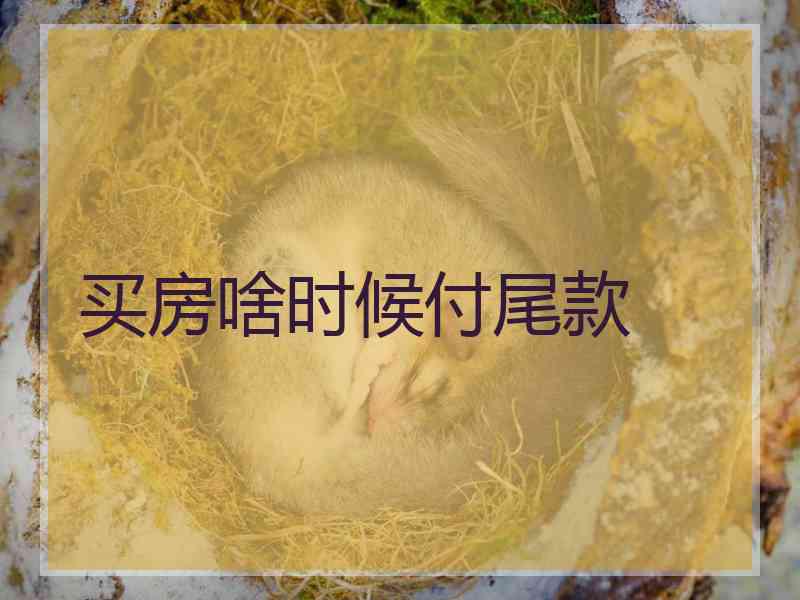 买房啥时候付尾款