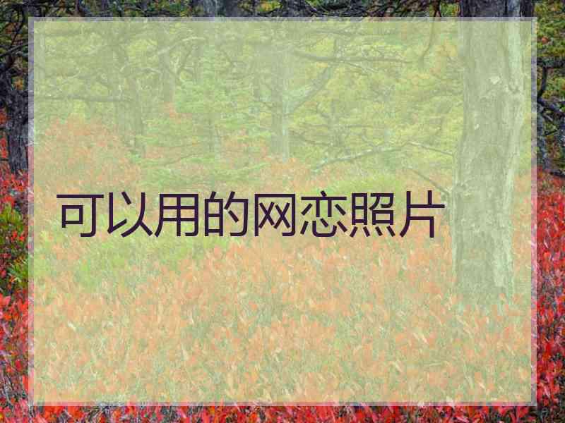 可以用的网恋照片