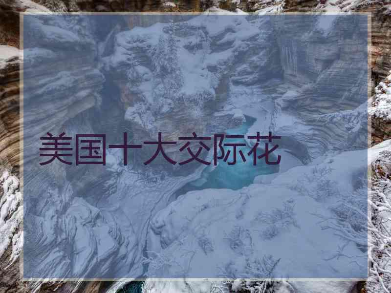 美国十大交际花