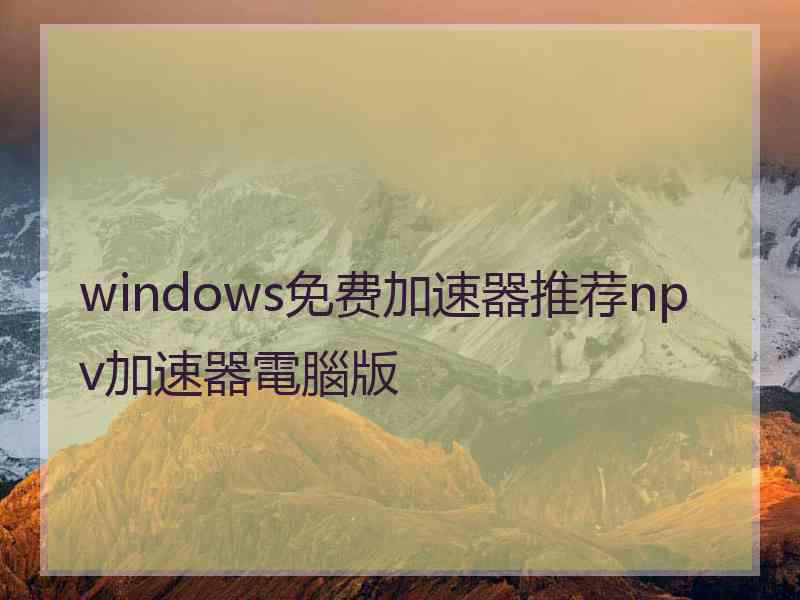 windows免费加速器推荐npv加速器電腦版