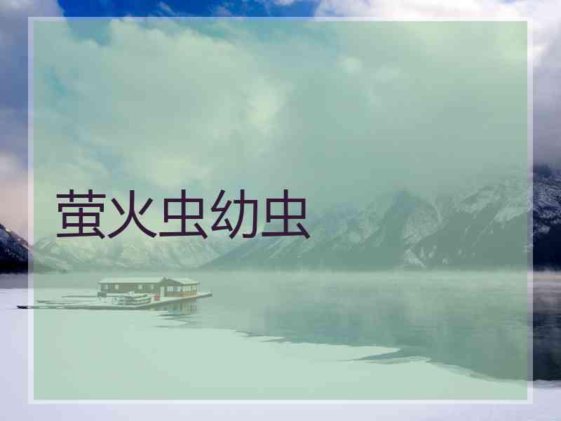 萤火虫幼虫