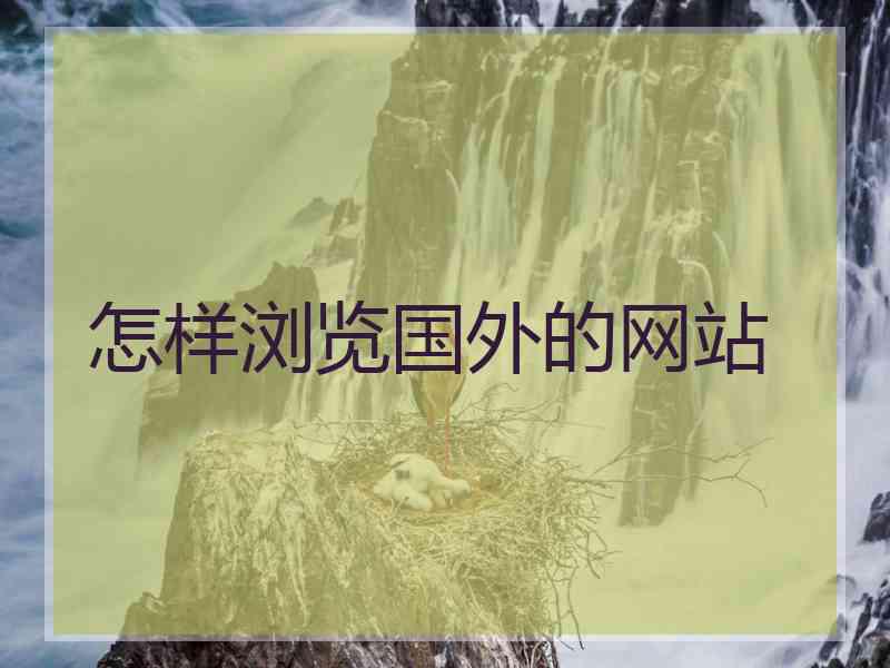 怎样浏览国外的网站