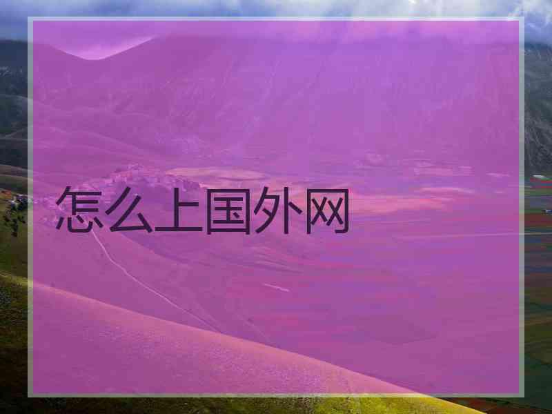 怎么上国外网