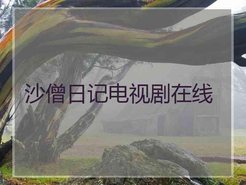 沙僧日记电视剧在线