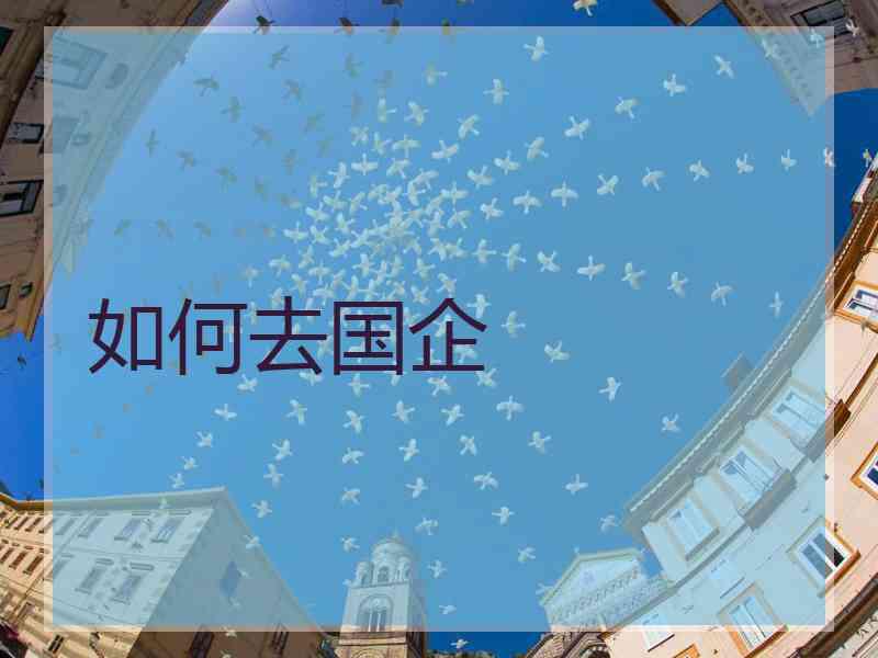 如何去国企