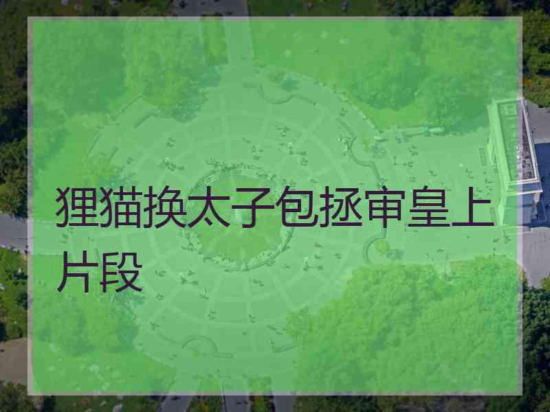 狸猫换太子包拯审皇上片段