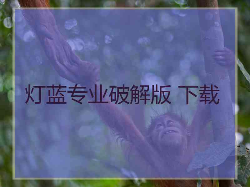 灯蓝专业破解版 下载
