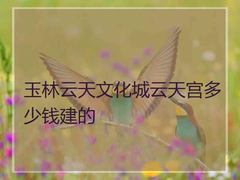 玉林云天文化城云天宫多少钱建的