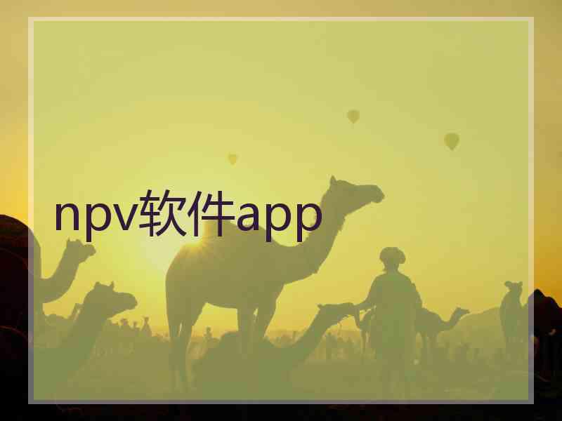 npv软件app