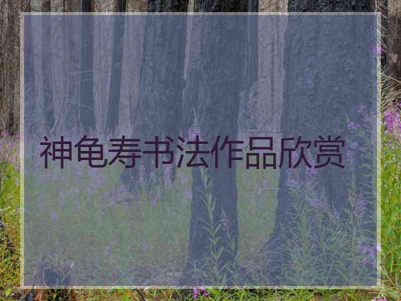 神龟寿书法作品欣赏