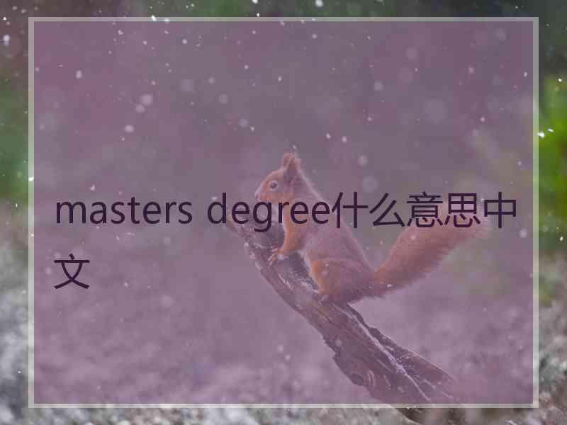 masters degree什么意思中文