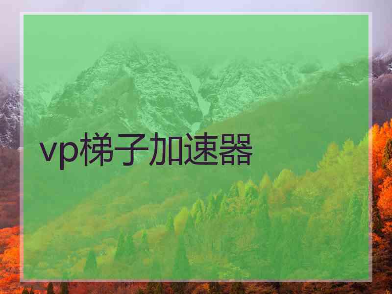 vp梯子加速器