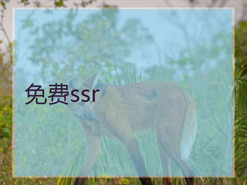 免费ssr