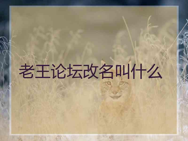 老王论坛改名叫什么