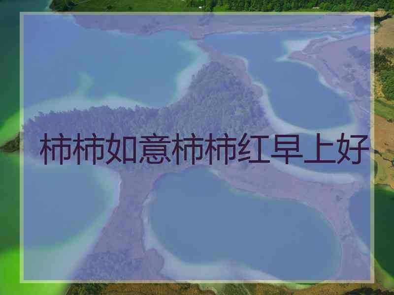 柿柿如意柿柿红早上好