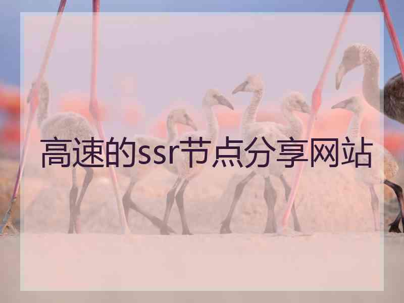 高速的ssr节点分享网站