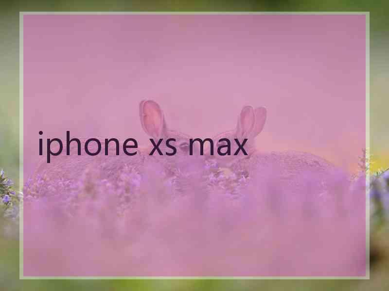 iphone xs max