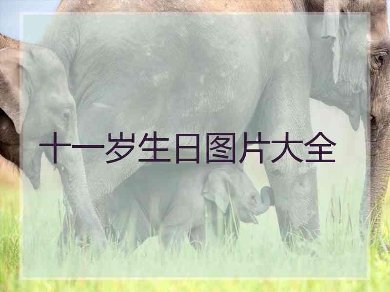十一岁生日图片大全