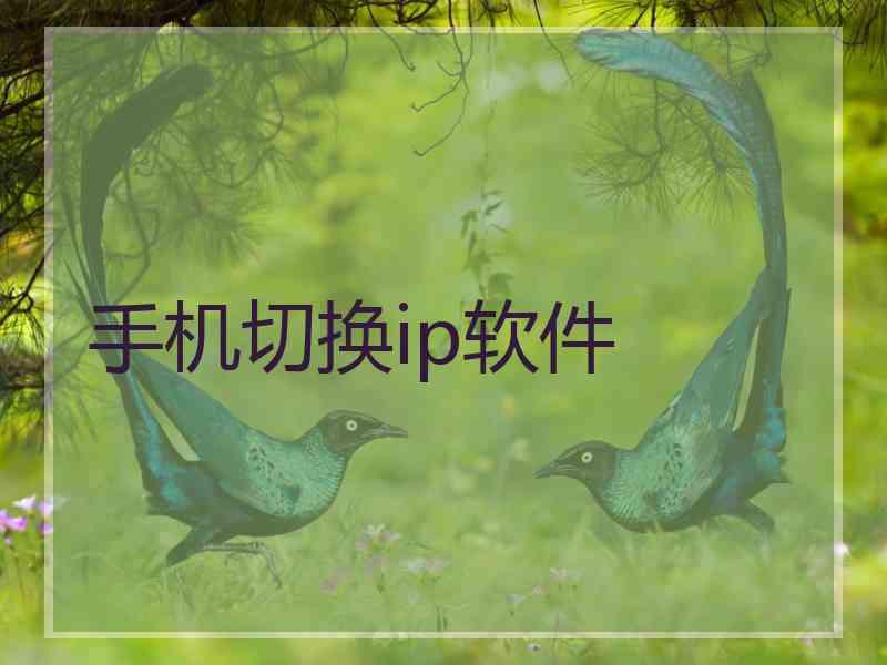 手机切换ip软件