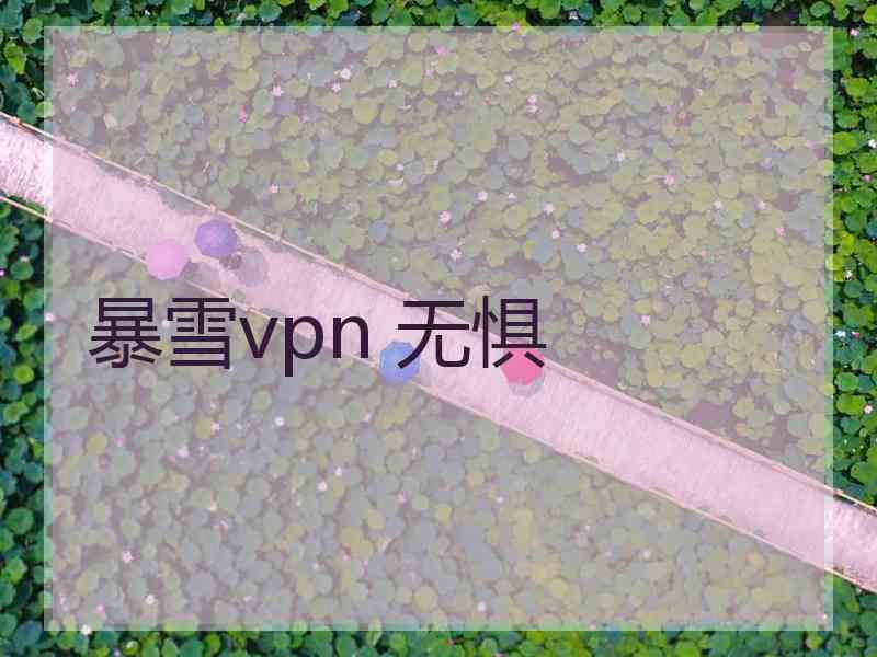 暴雪vpn 无惧