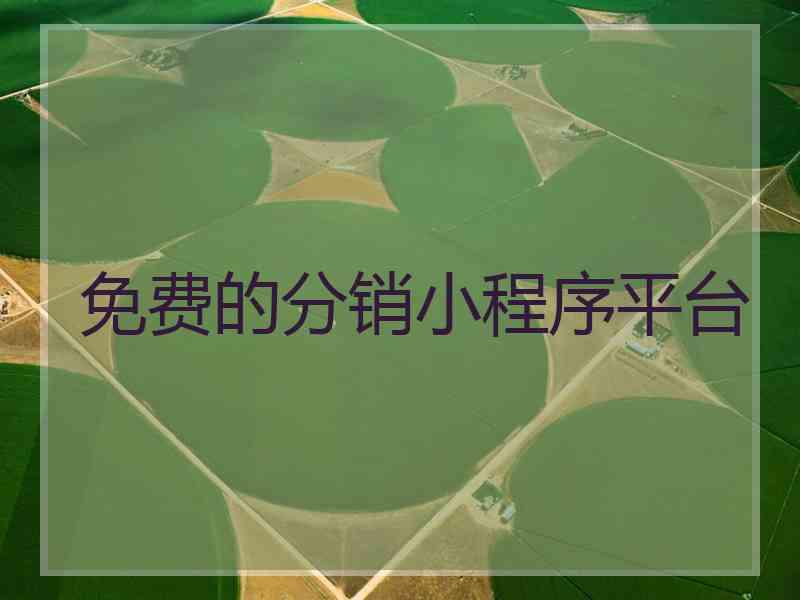 免费的分销小程序平台