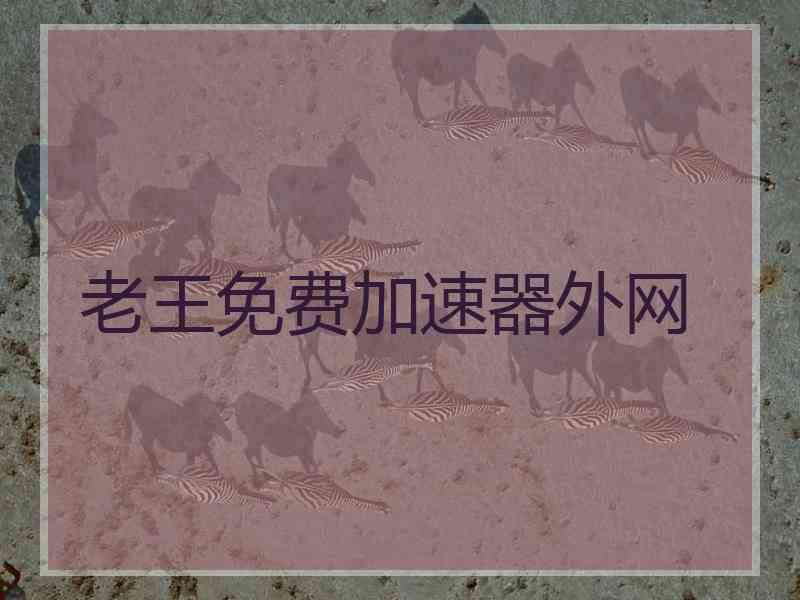老王免费加速器外网