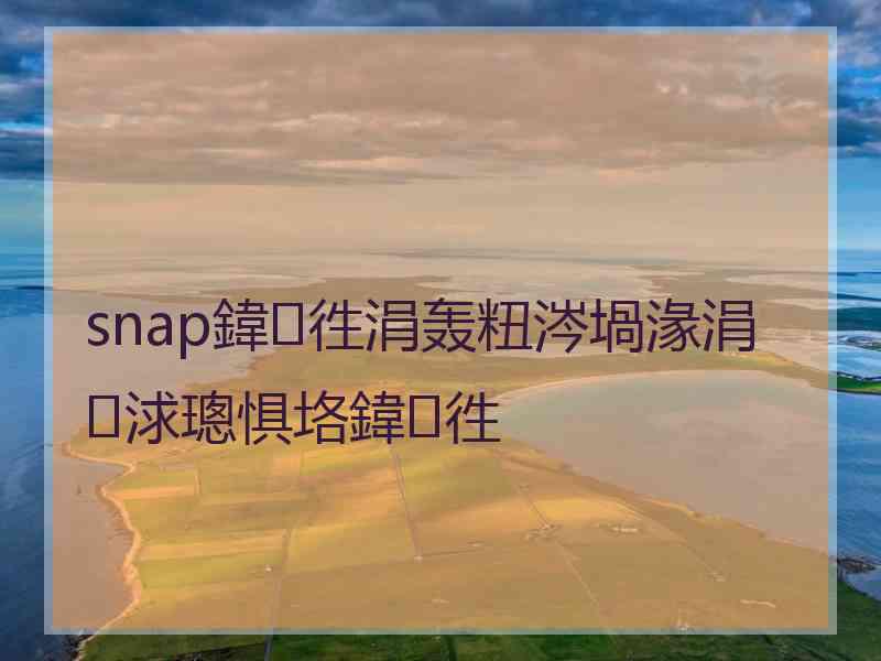 snap鍏徃涓轰粈涔堝湪涓浗璁惧垎鍏徃