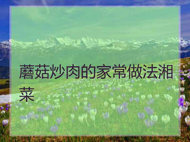 蘑菇炒肉的家常做法湘菜