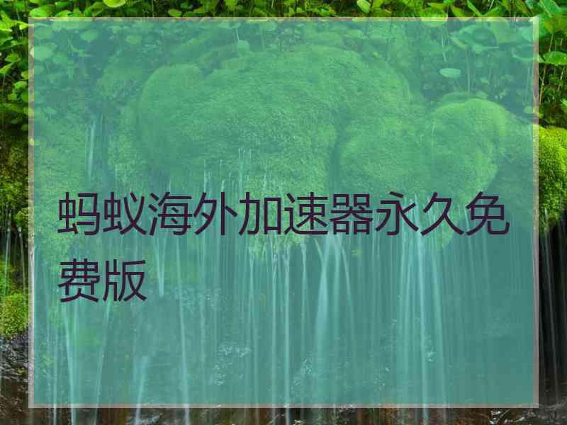 蚂蚁海外加速器永久免费版