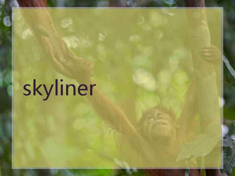 skyliner