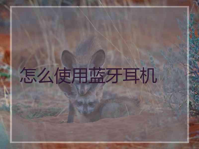 怎么使用蓝牙耳机