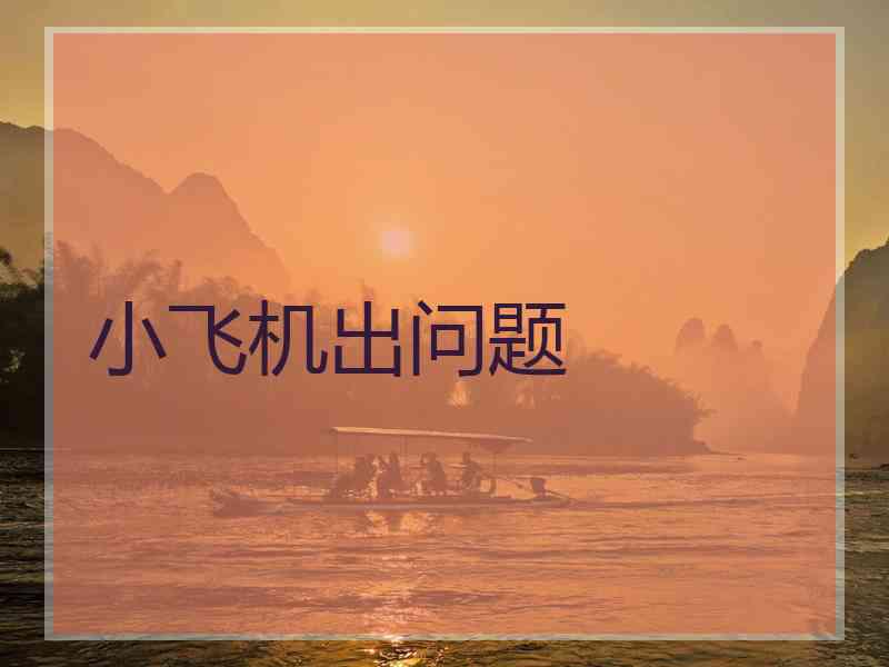 小飞机出问题