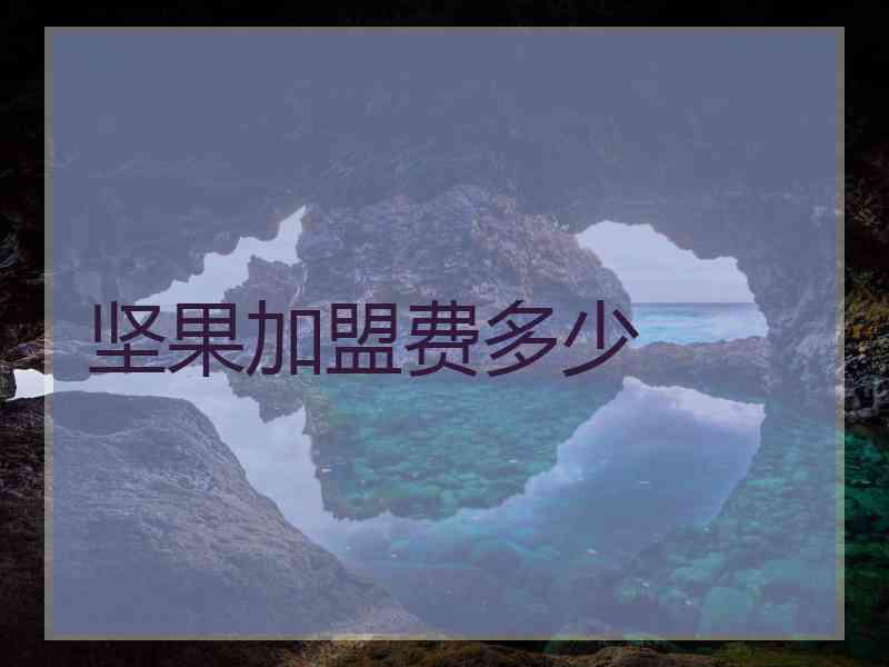 坚果加盟费多少
