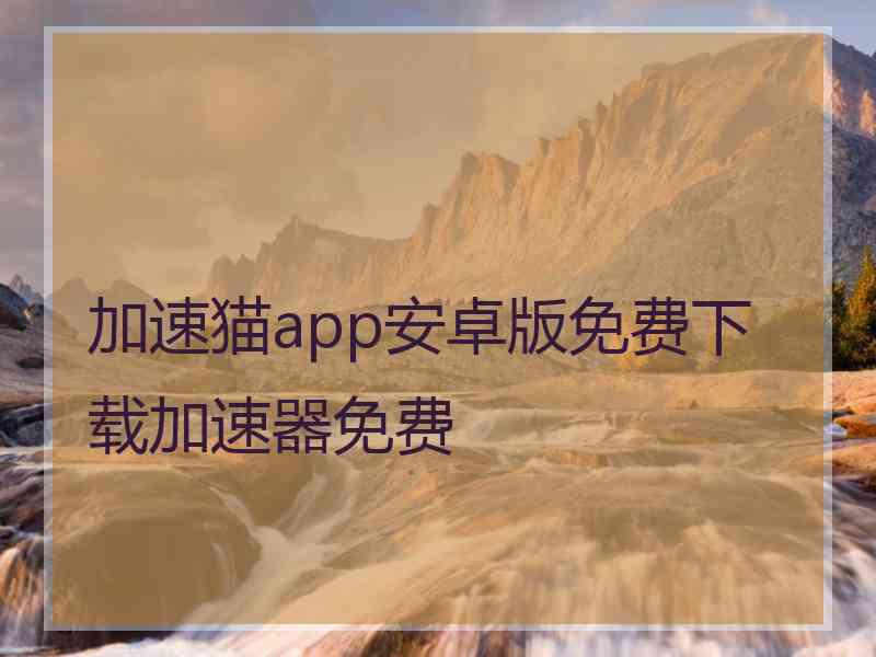 加速猫app安卓版免费下载加速器免费